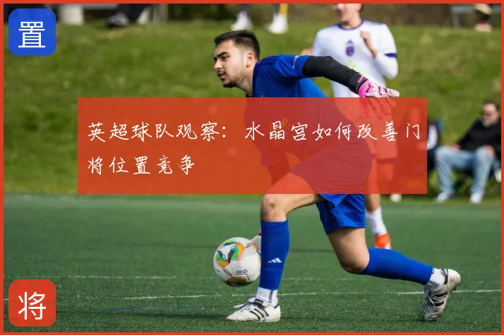 英超球队观察：水晶宫如何改善门将位置竞争