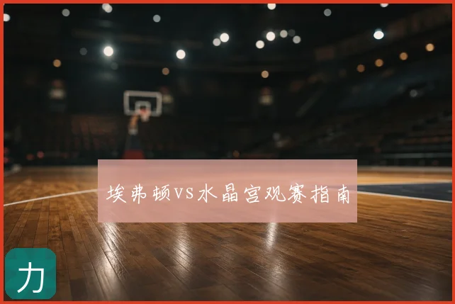 埃弗顿vs水晶宫观赛指南